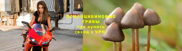 гидра Балабаново